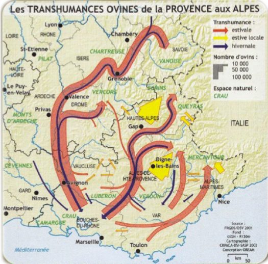 cropped-transhumance-sheep-httparlesmerinos-frenglischtranshumance-html1.jpeg