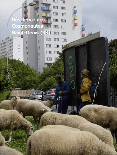 Screen Shot 2018-07-30 at 12.06.37