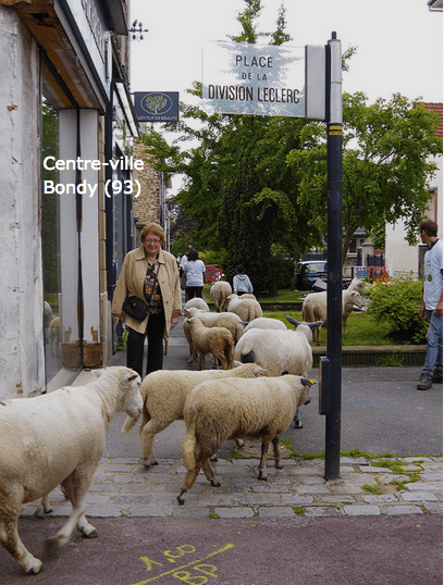 Screen Shot 2018-07-30 at 12.09.32