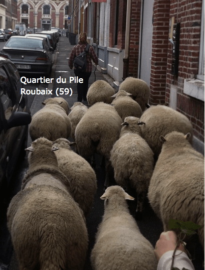 Screen Shot 2018-07-30 at 12.27.59